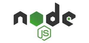 NodeJS Custom Ecommerce Development Technology