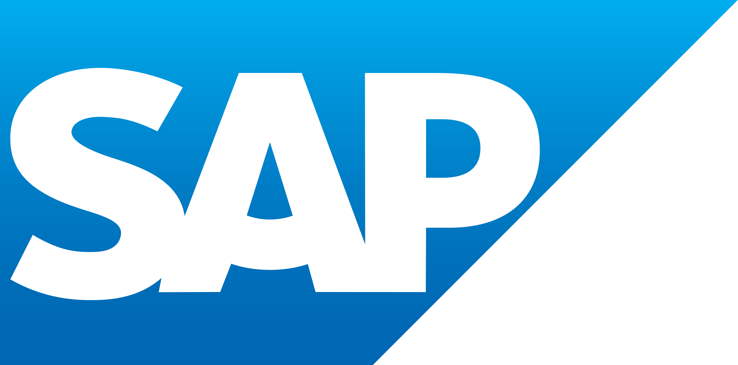 SAP ERP Logo for Expert Software Development Company